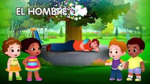 El hombre en el parque Cuentos para Dormir para Niños en Español | ChuChu TV Cuentacuentos