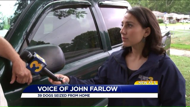 `I`m Guilty of the Heinous Crime of Loving Animals`: Nearly 40 Basset Hounds Seized from Home