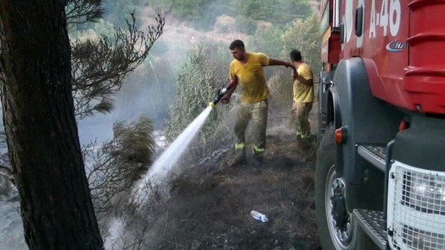 Hatay'daki orman yangınında soğutma çalışmaları sürüyor