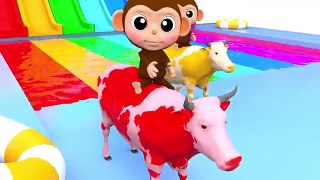 Learn Colors Baby Monkey Cow Water Slide Wheels On The Bus Song for Kid Children