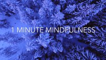 1 Minute Mindfulness - Winter Forest. Relaxing and calming