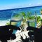 Cheers to the weekend, and to blue skies and calm seas, at Kempinski Seychelles Resort.Thank you Heather Anne ( eathrowm) for this festive clip.