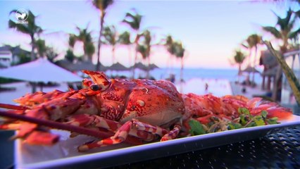 Taste of Vietnam 1 - tập 20- Khám phá Hội An cùng Martin Yan (phần 2)