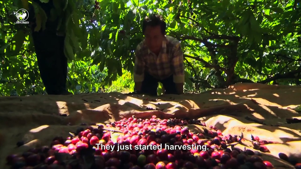 Taste of Vietnam 1 - tập 21- Khám phá Buôn Ma T...