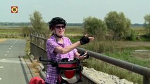 Zomerhitte slaat toe in de Biesbosch mensen denken nijlpaarden te zien in het water