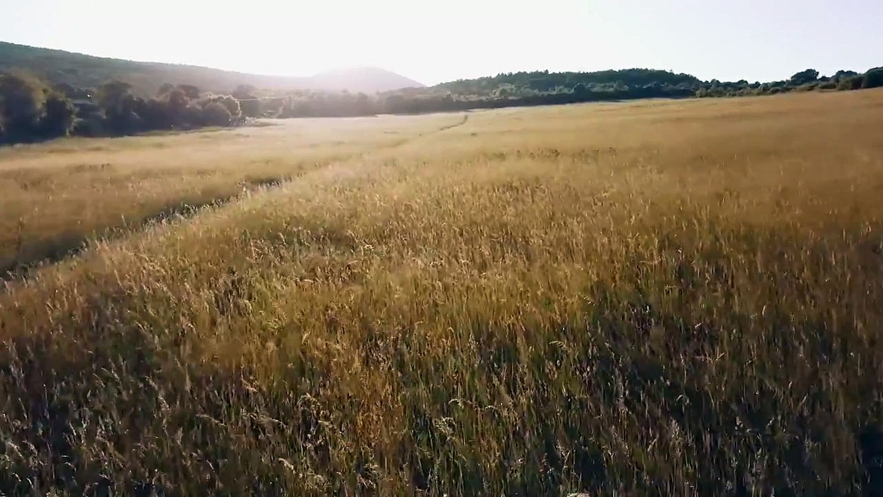 Field Flight | 1920*1080 | Free CC0 Creative Commons Videos