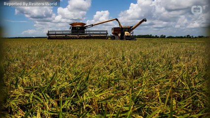 Trump Administration Prepares Relief Package For Farmer