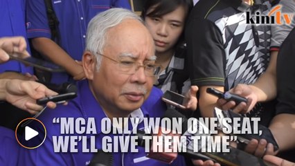 Najib: MCA, MIC need to deal with their own problems