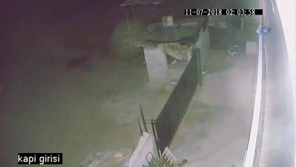 Tavuk Hırsızı Sandalye Fırlatılınca Kaçtı... O Anlar Kamerada