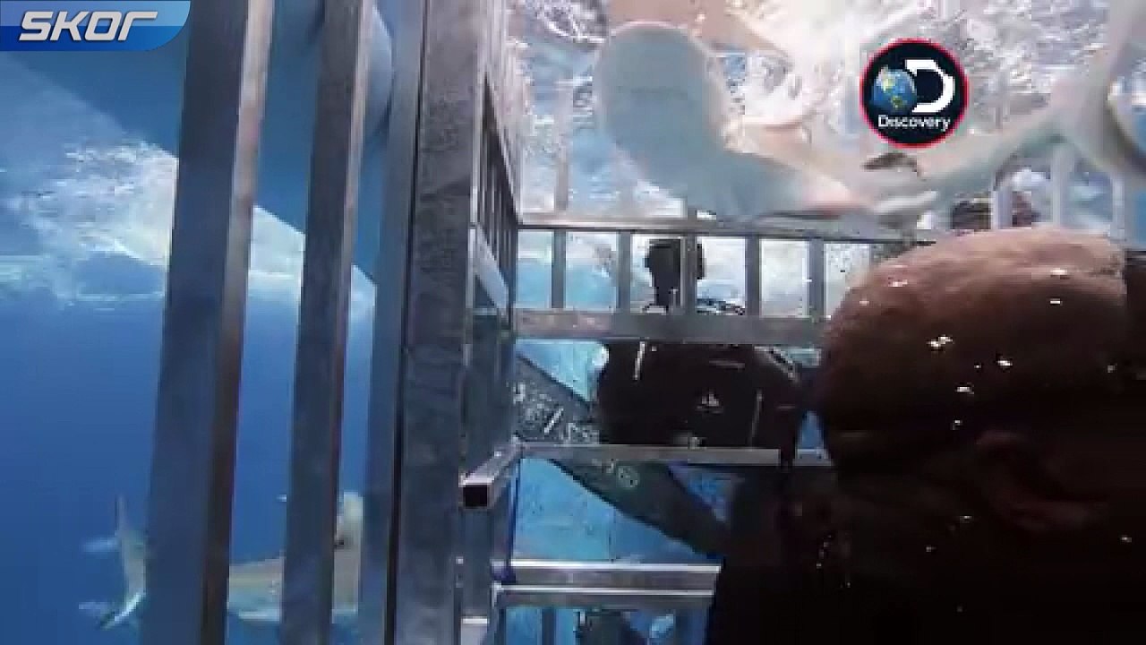 NBA Efsanesi Shaquille O'Neal 'ın korku dolu anları