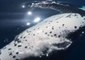 Majestic Humpback Whales Swim Up Close to Whale Watchers