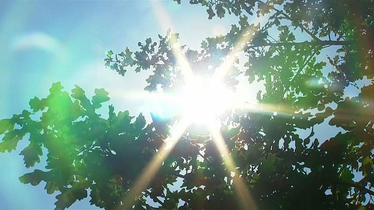 Heiße Hundstage: Bis zu 38 Grad