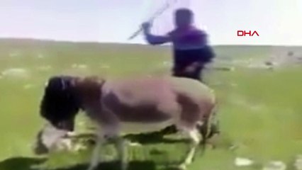 Eşeğe sopayla işkence yapan çobanın cezası belli oldu