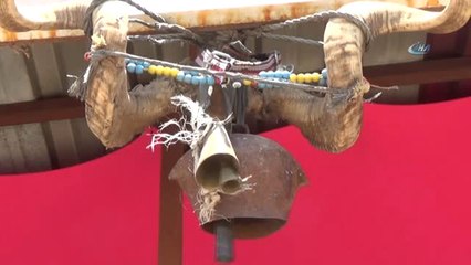 Otomobil Fiyatına Kurbanlık Deve