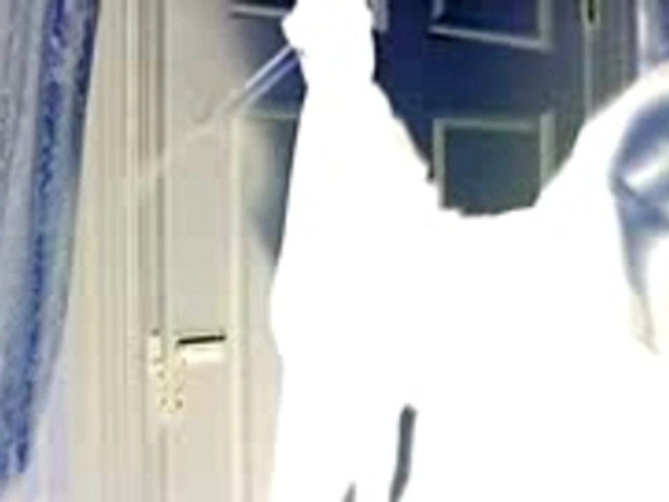 Scream 3 (Fan-Edited Trailer)
