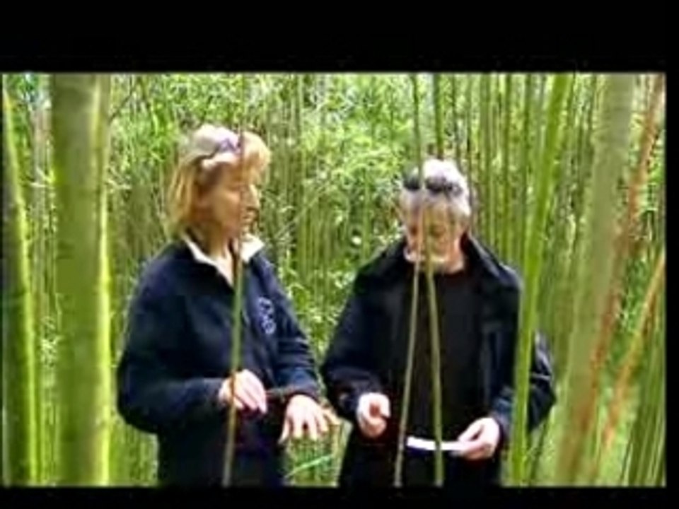 Epuration écolo, et très économique