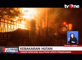 Bencana Kebakaran Hutan di Yunani Tewaskan 74 Orang