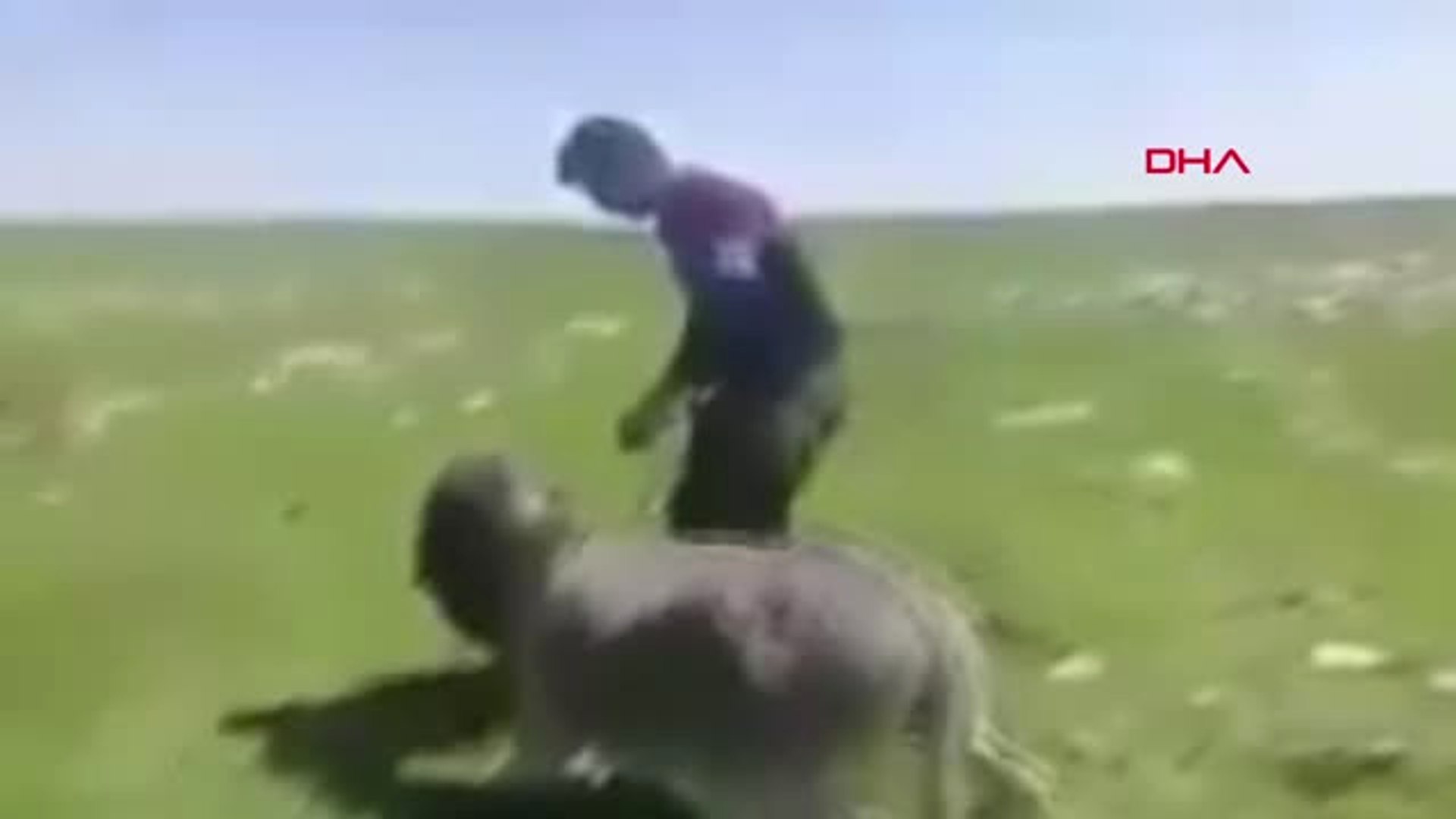 Kars Eşeğe Sopa ile İşkence Yapan Çoban Jandarma Tarafından Yakalandı Hd -  Dailymotion Video