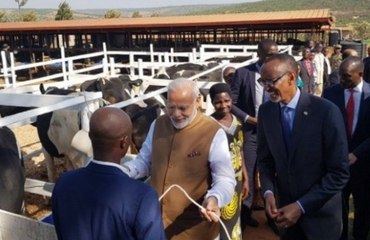 റുവാണ്ടക്കാര്‍ക്ക് ഇരുന്നൂറ് പശുക്കളെ സമ്മാനിച്ച്‌ മോദി | Oneindia Malyalam