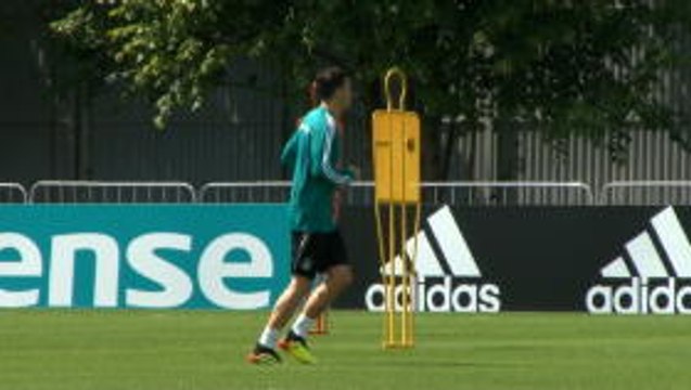 Everyone at Arsenal supports Ozil - Cech