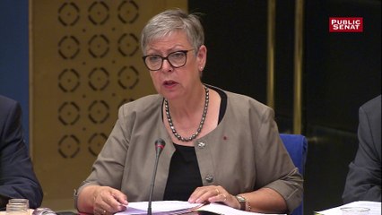 Benalla: lapsus de Marie-France Monéger-Guyomarc'h (IGPN) qui parle de violences légitimes au lieu d'usage de la force légitime