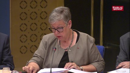 «  Nous allons proposer que l’encadrement des observateurs soit plus précis » indique l’IGPN