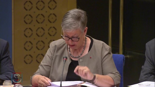 Affaire Benalla: Ceux qui ont vu la vidéo ont relevé que l'usage de la force était légitime (...) car il s'agissait d'une action de police faite par ce qu'ils pensaient être des policiers , dit la directrice de l'IGPN