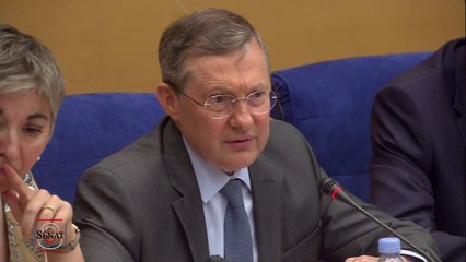 Interrogée au Sénat sur l'enquête tardive de l'IGPN, sa cheffe rappelle que "toute personne ayant connaissance d'un délit pouvait saisir l'inspection générale ou faire une déclaration au procureur"