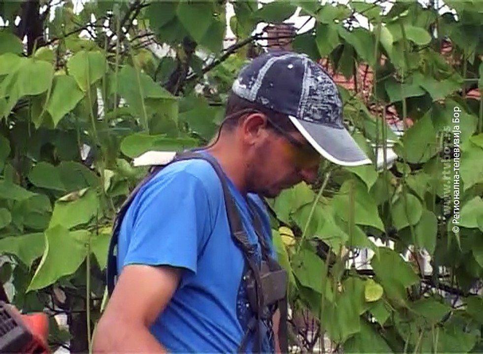 Komunalno uređenje Zaječara, 24.jul 2018. (RTV Bor)