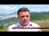 Elbasan, stuhia shkakton dëme në bujqësi - News, Lajme - Vizion Plus