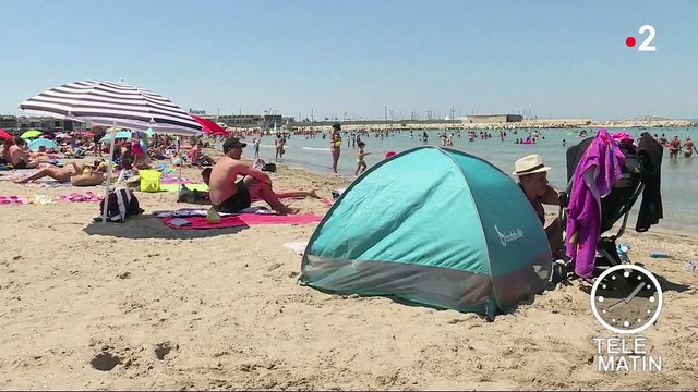 Météo : la chaleur bat des records de températures et de victimes dans le monde entier