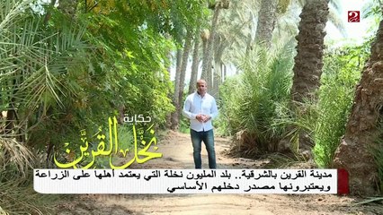 #صباحك_مصري من داخل بلد المليون نخلة "القرين" ...تعرف على قصتها