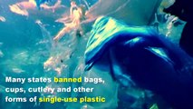 Causes of Cancer Due to Plastic Materials