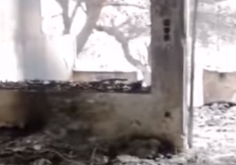 Volunteers Search For Survivors as Death Toll From Greek Wildfires Rises