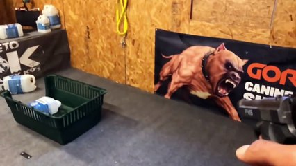 The most incredible guard dog on earth - SUPER PIT BULL!