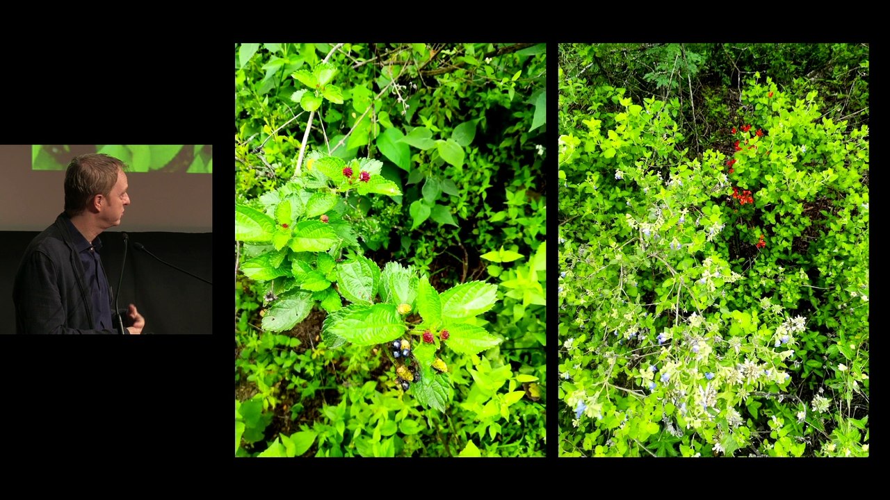 L'archaïque et ses possibles aujourd'hui - Partie7 VF