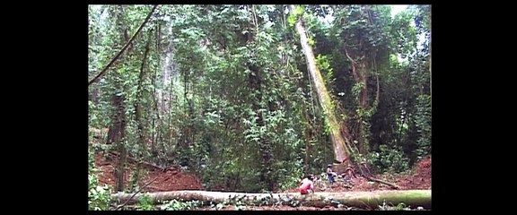 Zehn Milliarden -  Stephen Emmott (1/2)