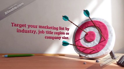 Asia Directors Business Email List Providers