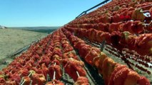 Gaziantep'te 40 derece sıcaklıkta 'kurutmalık sebze' mesaisi