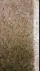 ‫ووٹنگ سے پہلے ہی ایک پریذائڈنگ آفیسر نے فوج پر دھاندلی کے الزامات لگا دیئے اور الیکشن مشکوک قرار دے‬