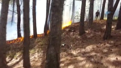 Tabiat Parkında Korkutan Yangın