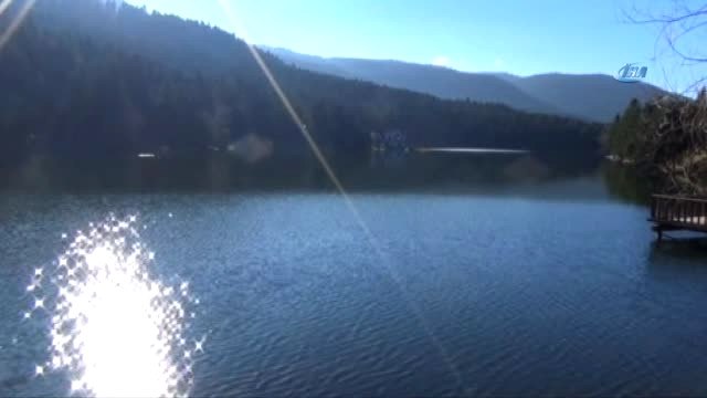 Bolu'nun Doğa Harikası Gölcük, Nilüfer Bahçesine Dönüşecek