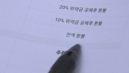 휴가철 숙박·항공·여행상품 '피해 주의보' / YTN