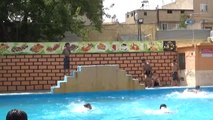 Sıcaktan Bunalan Türk ve Suriyeli Gençler Havuzda Yüzerek Serinliyor