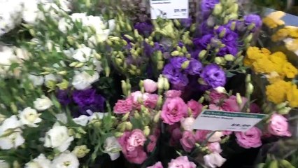 Surprising my Girlfriend... with another Girl!