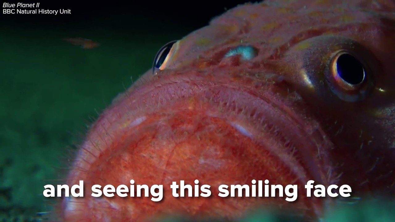 Do You Have Thalassophobia