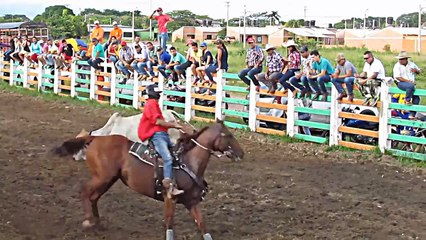 COLEO LOS TIGRES DEL COLEO