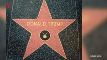 President Trump’s Star on the Hollywood Walk of Fame is Destroyed with Pickaxe