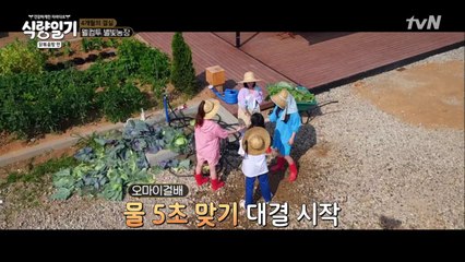 오마이걸 텐션업! 삼촌들도 텐션업!!