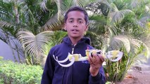 Rechargeable crawling Robot | Hindi